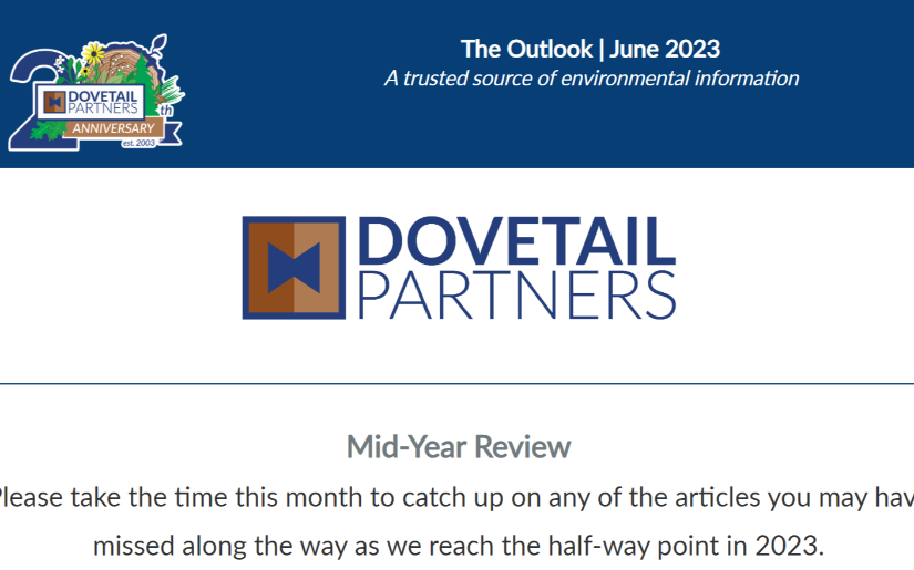 June Outlook 2023